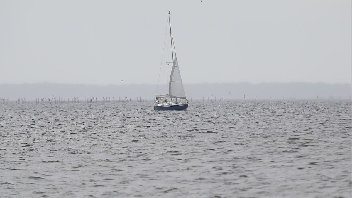 Segelboot (Archiv) - Foto: über dts Nachrichtenagentur