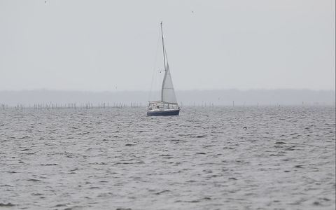 Segelboot (Archiv) - Foto: über dts Nachrichtenagentur