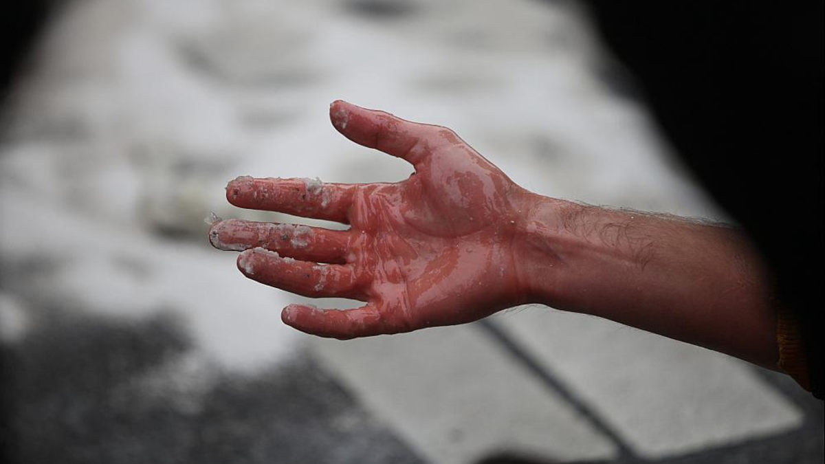 Klimaprotest (Archiv) - Foto: über dts Nachrichtenagentur