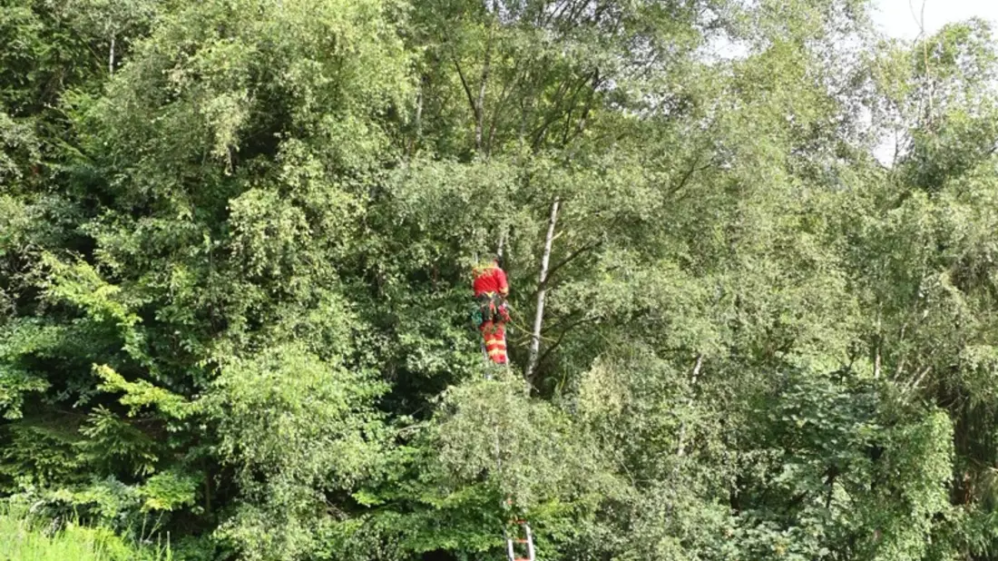 FF Olsberg: Gleitschirmflieger in Olsberg - Elpe abgestürzt - Bild: presseportal.de