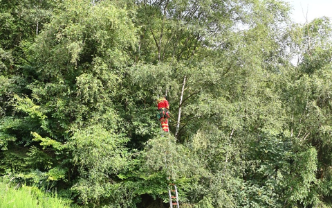 FF Olsberg: Gleitschirmflieger in Olsberg - Elpe abgestürzt - Foto: presseportal.de