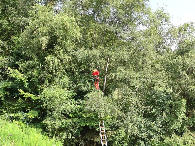 FF Olsberg: Gleitschirmflieger in Olsberg - Elpe abgestürzt - Foto: presseportal.de