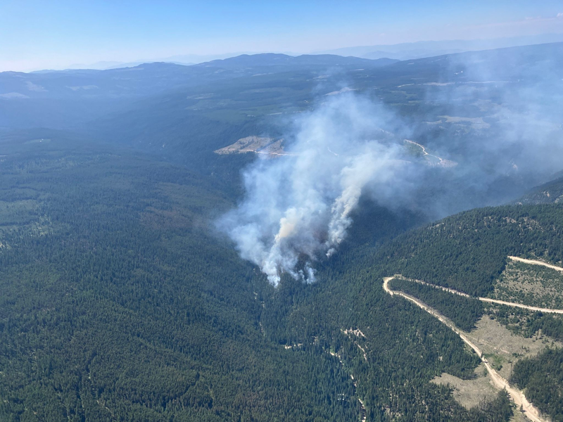 Wie in den vergangenen Jahren gibt es in Kanada und in den USA zahlreiche Waldbrände. - Foto: ---/BC Wildfire Service/XinHua/dpa