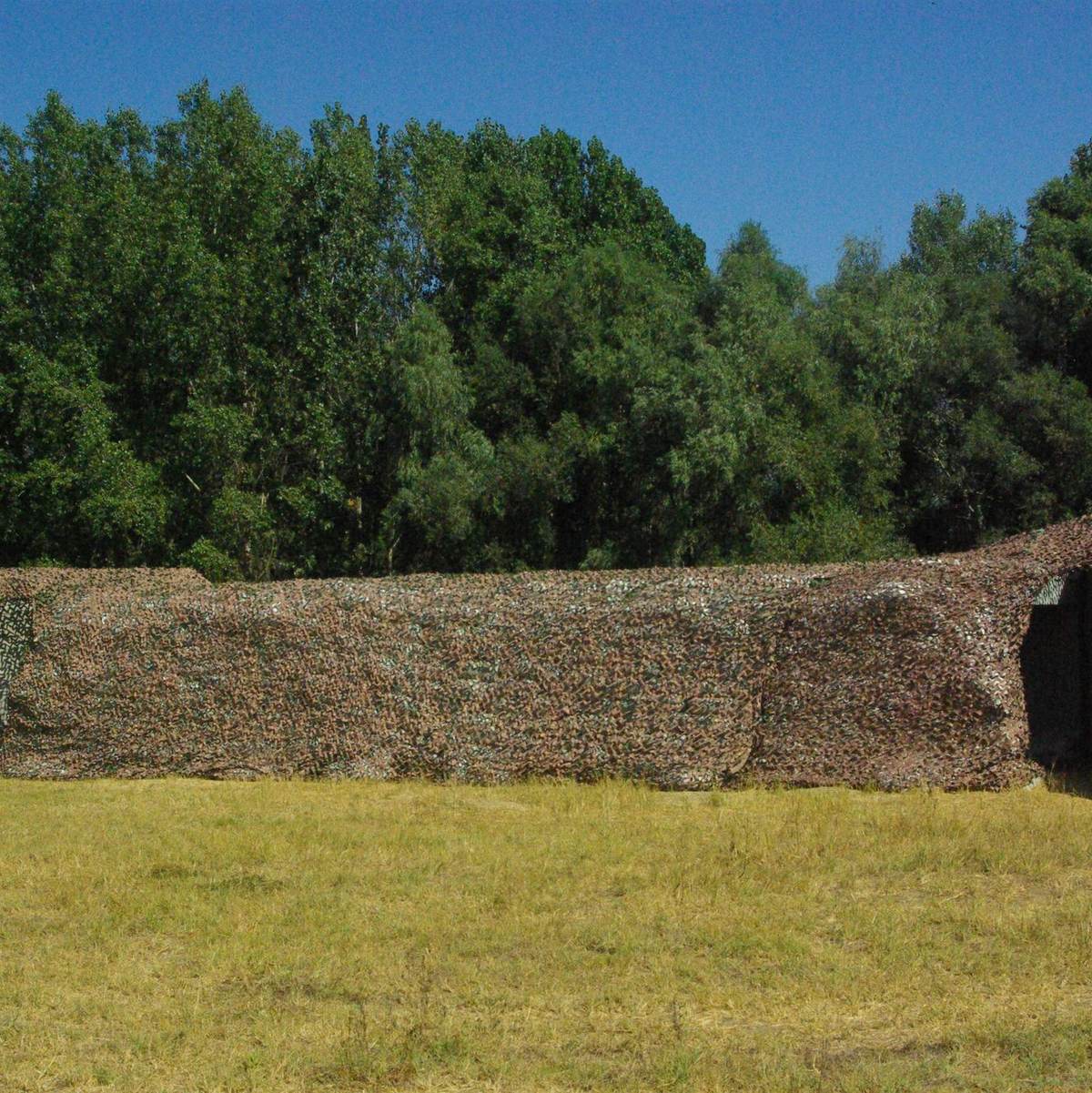 Im Donau-Delta wurde erneut eine Drohne gesichtet. - Foto: Kathrin Lauer/dpa