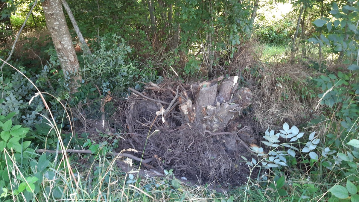POL-SE: Kölln-Reisiek - Illegale Entsorgung von diversen Pflanzenabfällen im Entwässerungsgraben - Polizei sucht Zeugen - Foto: presseportal.de