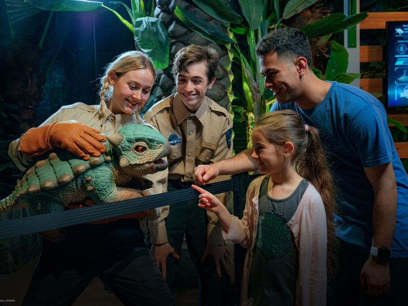 Die interaktive Ausstellung war im Dezember auch in Berlin zu sehen. - Foto: ---/Escenario Ocesa/dpa