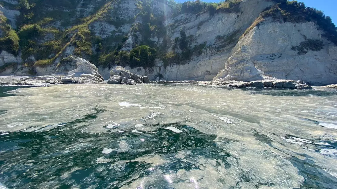 Das Phänomen Algenschleim ist schon lange bekannt. Vermutlich begünstigen heiße Sommer ein verstärktes Algenwachstum in der Adria. - Bild: Roberto Danovaro/dpa