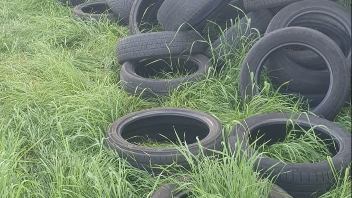 POL-UL: (UL) Ulm - Haufenweise Altreifen neben Maisfeld entsorgt / In den vergangenen Tagen hatte ein Unbekannter bei Ulm-Gögglingen rund 60 Altreifen entsorgt. - Foto: presseportal.de