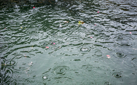 Das Wochenende wird öfter nass - für die neue Woche wegen hingegen hohe Temperaturen erwartet (Archivbild). - Foto: Daniel Vogl/dpa Das Wochenende wird öfter nass - für die neue Woche wegen hingegen hohe Temperaturen erwartet (Archivbild). - Foto: Daniel Vogl/dpa