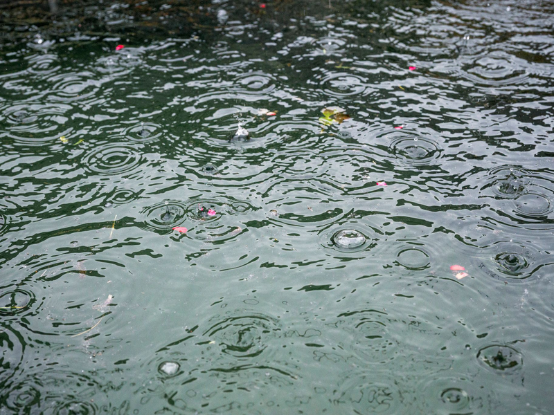 Das Wochenende wird öfter nass - für die neue Woche wegen hingegen hohe Temperaturen erwartet (Archivbild). - Foto: Daniel Vogl/dpa