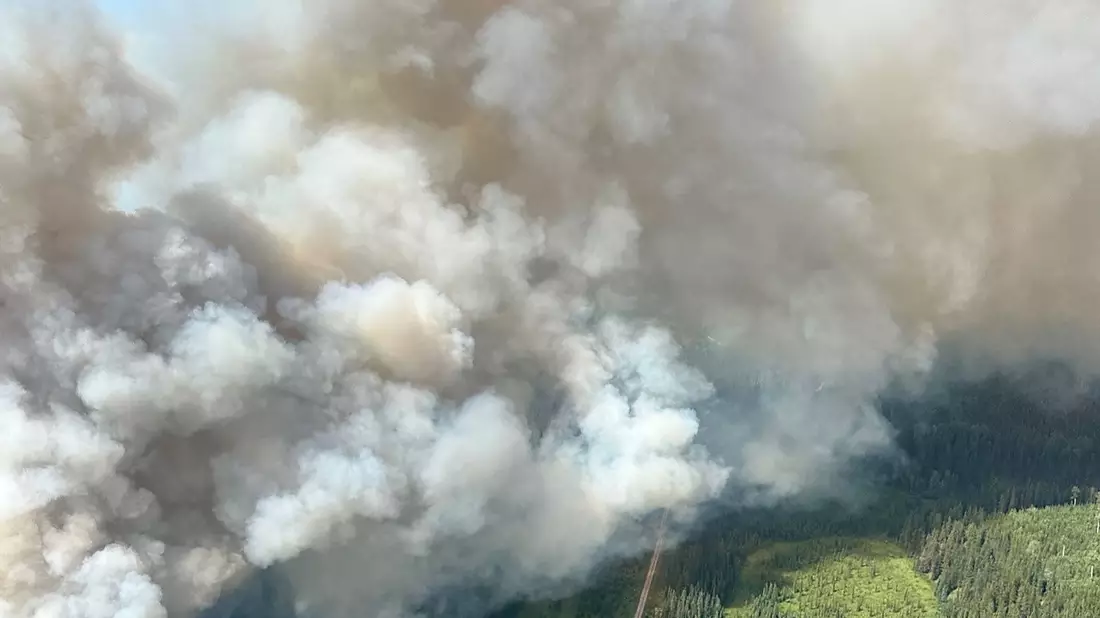Über 1.100 Helfer kämpften gegen die Flammen an. - Bild: Alberta Wildfire/ZUMA Press Wire/dpa