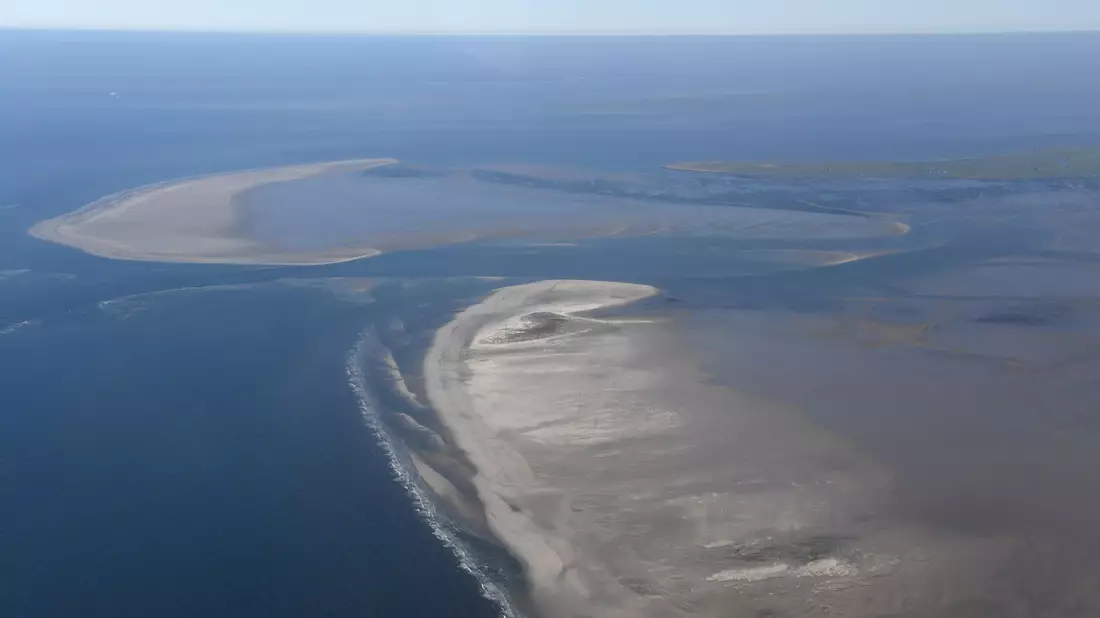 Die Unesco hat Deutschland und andere Länder für geplante oder bereits bestehende Aktivitäten und Infrastrukturprojekte im Weltnaturerbe Wattenmeer kritisiert. (Archivfoto) - Bild: Carsten Rehder/dpa