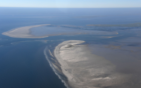 Die Klimaerwärmung verändert den Lebensraum am Wattenmeer. (Archivbild) - Foto: Carsten Rehder/dpa