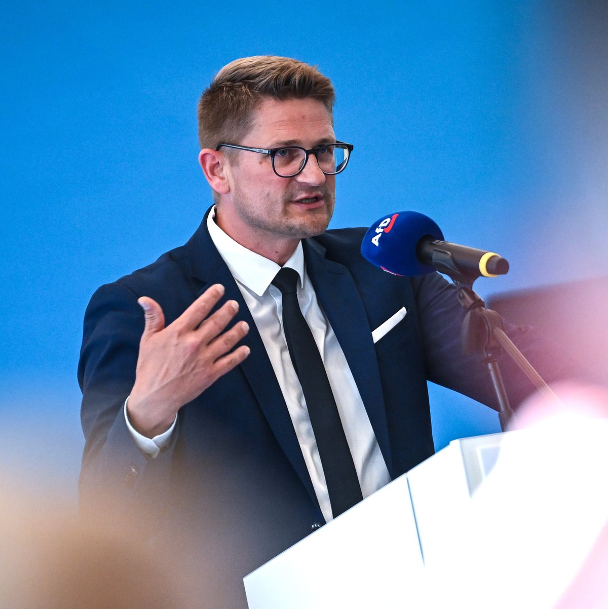 AfD-Politiker Springer beklagt hohe Ausgaben für Bürgergeld (Archivbild) - Foto: Britta Pedersen/dpa