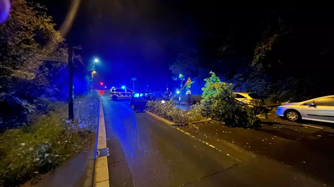POL-REK: 240728-1: Gegen Baum geprallt und zunächst geflüchtet - Bild: presseportal.de