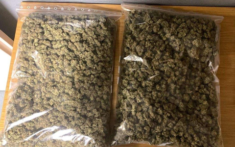 BPOL NRW: Rucksack in S1 vergessen - Bundespolizei stellt großen Behälter mit Marihuana sicher - Foto: presseportal.de