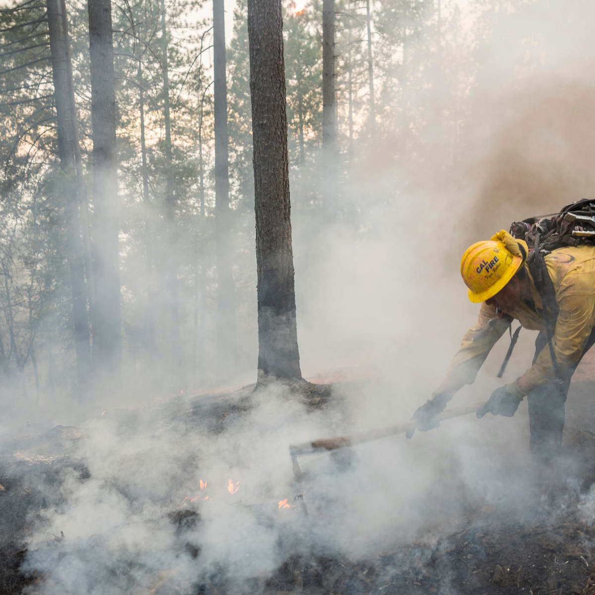 Behörden sprechen vom siebtgrößten Brand in der Geschichte des Bundesstaates. - Foto: Nic Coury/FR171100 AP/dpa