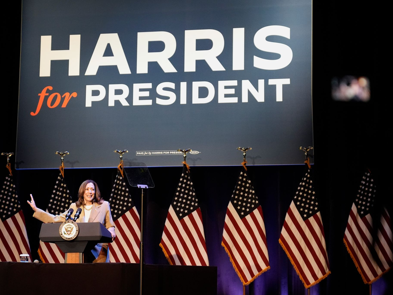 Das parteinterne Votum der Demokraten ist beendet, Kamala Harris hat volle Rückendeckung bekommen. - Foto: Stephanie Scarbrough/AP/dpa