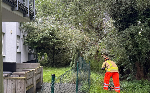 FW Alpen: Ast lehnte gegen Hauswand - Foto: presseportal.de