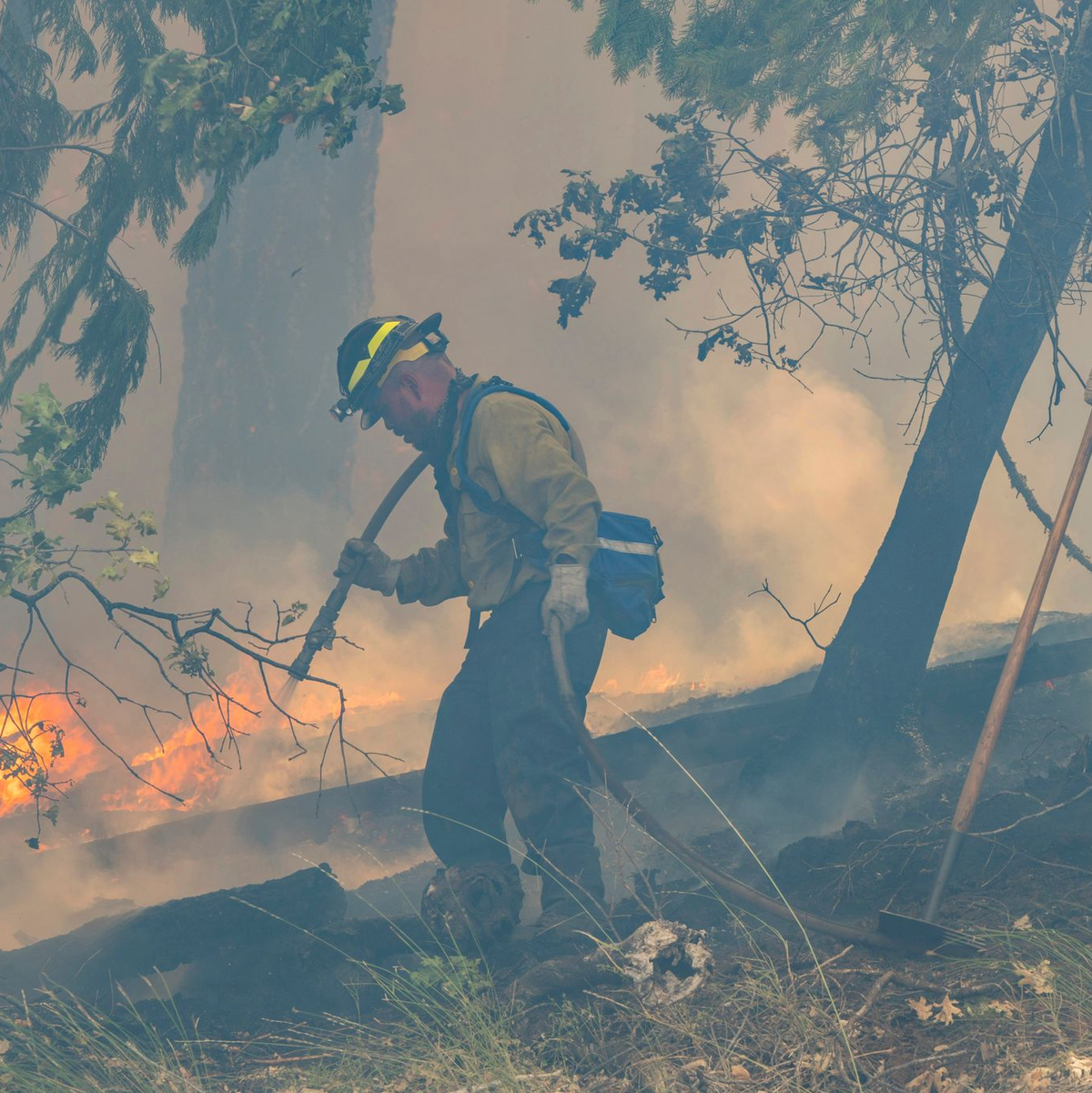 Angesichts des Klimawandels warnen Experten, dass Feuer häufiger auftreten und mehr Zerstörungskraft entfalten. - Foto: Nic Coury/AP/dpa