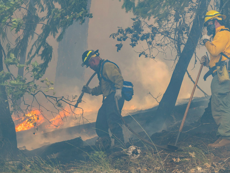 Das Park Fire wird als fünftgrößtes Feuer seit Beginn der Aufzeichnungen in dem US-Westküstenstaat klassifiziert. (Archivbild vom 30.07.) - Foto: Nic Coury/AP/dpa