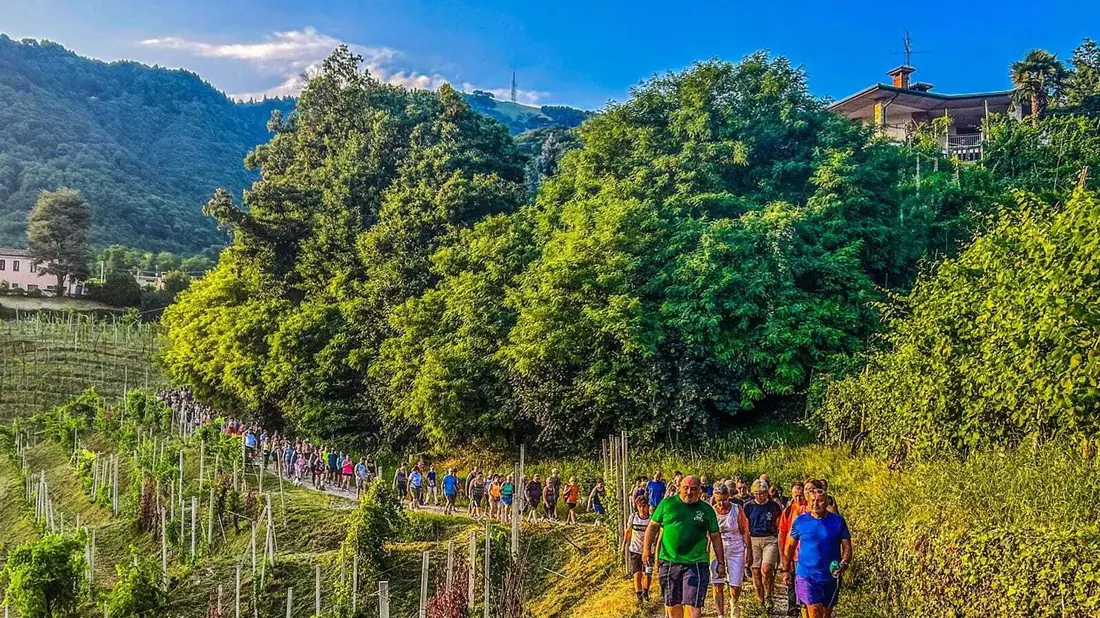 Ein Bürgermeister in Italien möchte abnehmen, und viele seiner Einwohner unterstützen ihn dabei. (Foto Handout)  - Bild: -/Comune Di Valdobbiadene/dpa