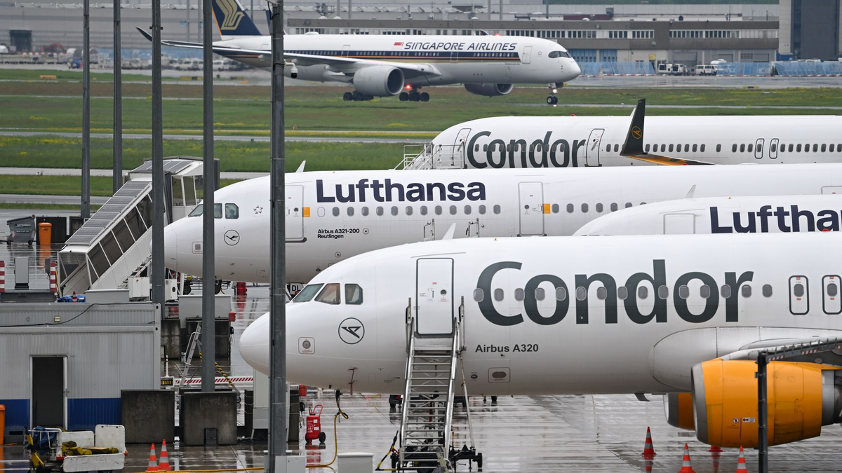Bislang werden viele Condor-Passagiere von der Lufthansa nach Frankfurt geflogen.  - Foto: Arne Dedert/dpa