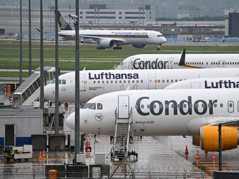 Bislang werden viele Condor-Passagiere von der Lufthansa nach Frankfurt geflogen.  - Foto: Arne Dedert/dpa