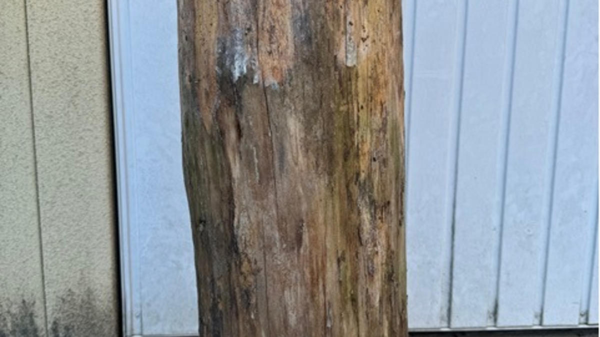 POL-HK: Schneverdingen: Unfall mit drei Leichtverletzten; Bad Fallingbostel/A 7: Kettenunfall auf der A 7; Hademstorf: Wer kann Angaben zur 