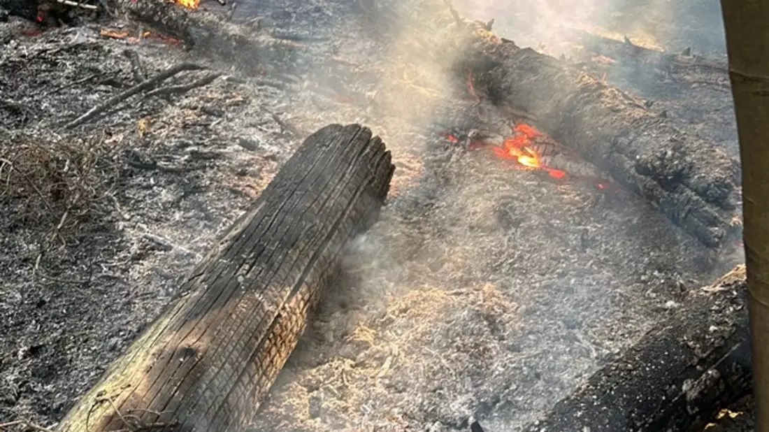FW Ense: Unterholz-Brand im Aupketal zwischen Niederense und Neheim - Bild: presseportal.de