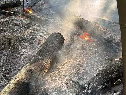 FW Ense: Unterholz-Brand im Aupketal zwischen Niederense und Neheim - Foto: presseportal.de