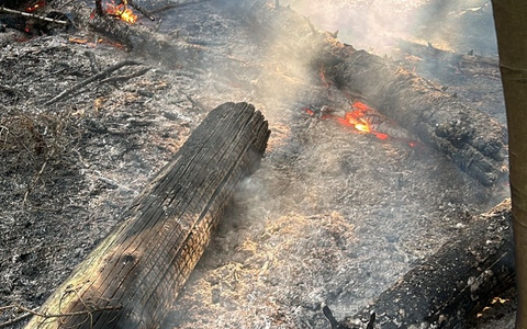 FW Ense: Unterholz-Brand im Aupketal zwischen Niederense und Neheim - Foto: presseportal.de