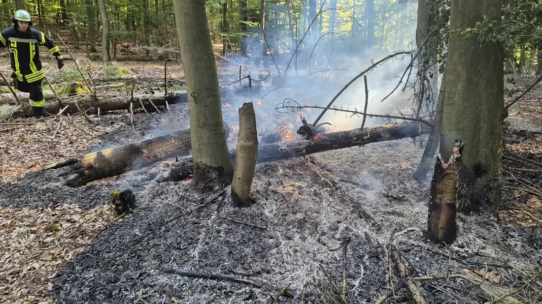 FW-AR: Feuerwehr Ense und Arnsberg bekämpfen Waldbrand - Bild: presseportal.de