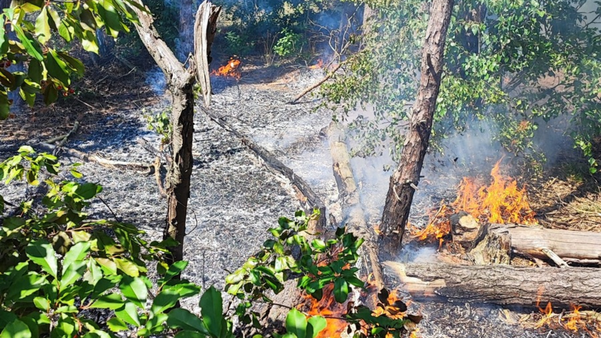 FW Celle: Vegetationsbrand in Westercelle - Foto: presseportal.de