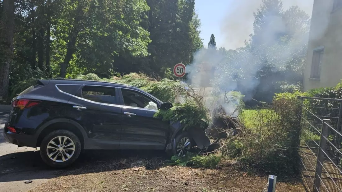 POL-NI: Vier Täterfestnahmen nach Drogengeschäft - Bild: presseportal.de