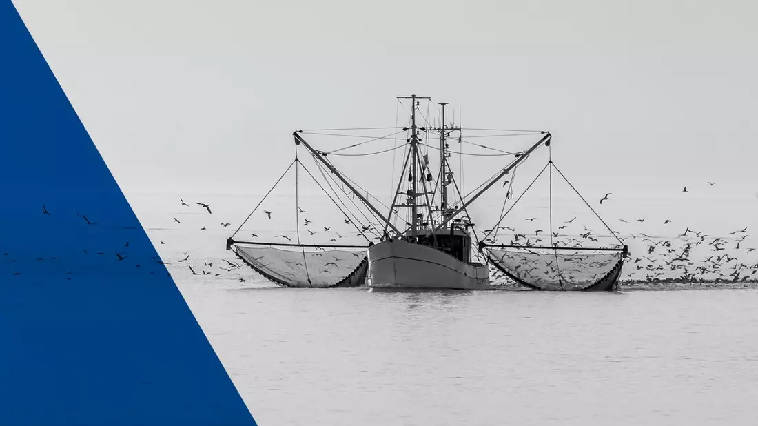 ARD radiofeature / Kampf an der Nordsee – Doku über den Konflikt zwischen Fischern und Meeresschützern - Bild: WDR/picture alliance/Zoonar/Conny Pokorny / Weiterer Text über ots und www.presseportal.de/nr/153004 / Die Verwendung dieses Bildes für redaktionelle Zwecke ist unter Beachtung aller mitgeteilten Nutzungsbedingungen zulässig und dann auch honorarfrei. Ver