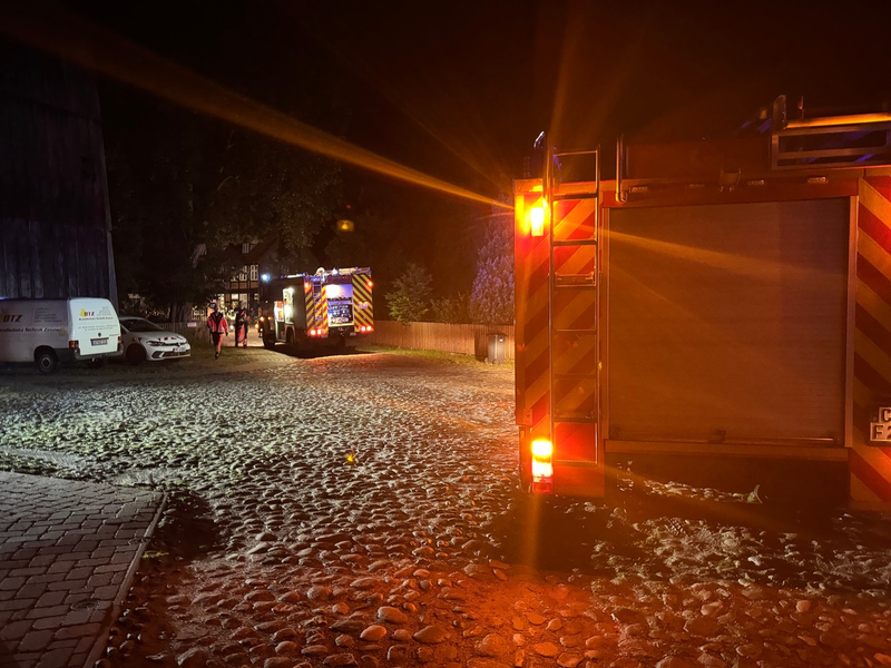 FW Flotwedel: Fledermaus sorgt für Auslösung der Brandmeldeanlage im Kloster Wienhausen - Foto: presseportal.de