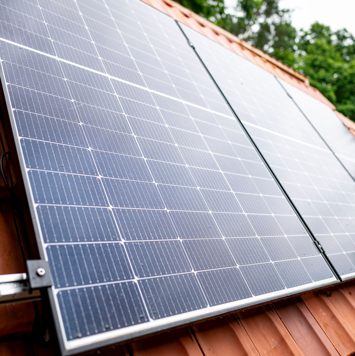 Wer ab dem 1. August eine Solaranlage in Betrieb genommen hat, bekommt bei einer Teileinspeisung nur 8,03 Cent pro Kilowattstunde (Archivbild).  - Foto: Fabian Sommer/dpa