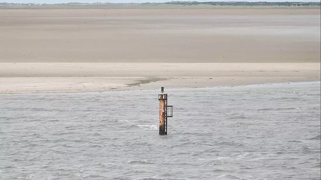 Dalbe in der Nordsee (Archiv) - Bild: über dts Nachrichtenagentur