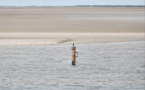 Dalbe in der Nordsee (Archiv) - Foto: über dts Nachrichtenagentur