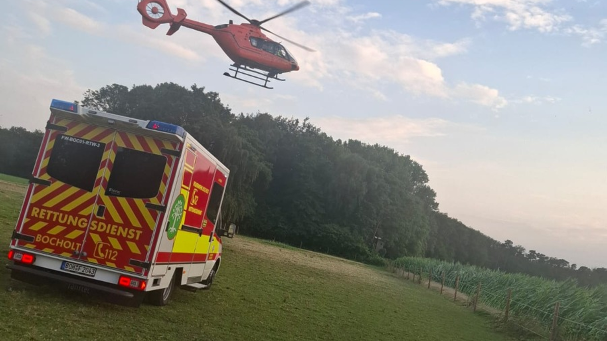FW Bocholt: Reitunfall in Bocholt-Barlo - Foto: presseportal.de