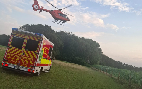 FW Bocholt: Reitunfall in Bocholt-Barlo - Foto: presseportal.de