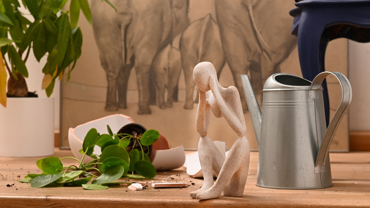 Tipps für den Alltag / Auf gute Nachbarschaft: Privathaftpflicht-Versicherung unterstützt Gefälligkeitshandlungen - Foto: presseportal.de