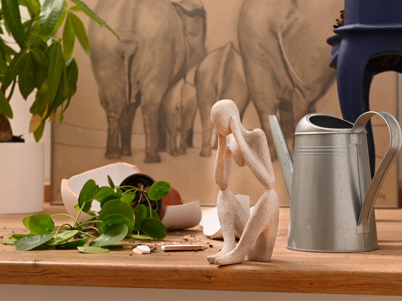 Tipps für den Alltag / Auf gute Nachbarschaft: Privathaftpflicht-Versicherung unterstützt Gefälligkeitshandlungen - Foto: presseportal.de