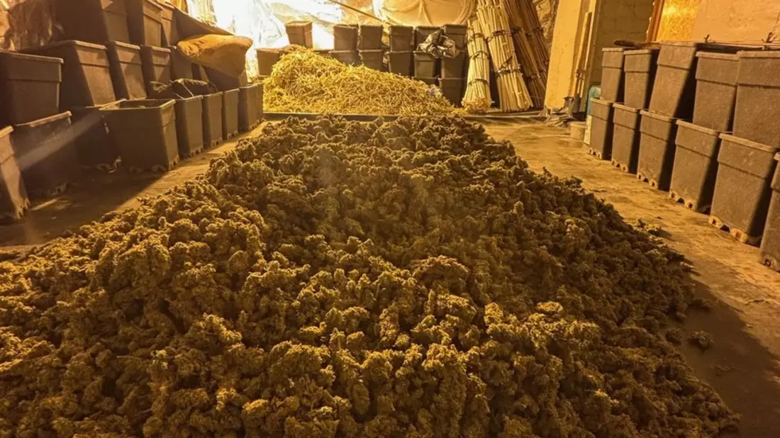 POL-MG: Illegale Plantage in Rheydt ausgehoben - Drei Festnahmen - Bild: presseportal.de