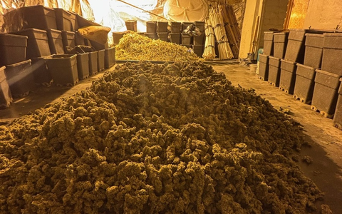 POL-MG: Illegale Plantage in Rheydt ausgehoben - Drei Festnahmen - Foto: presseportal.de