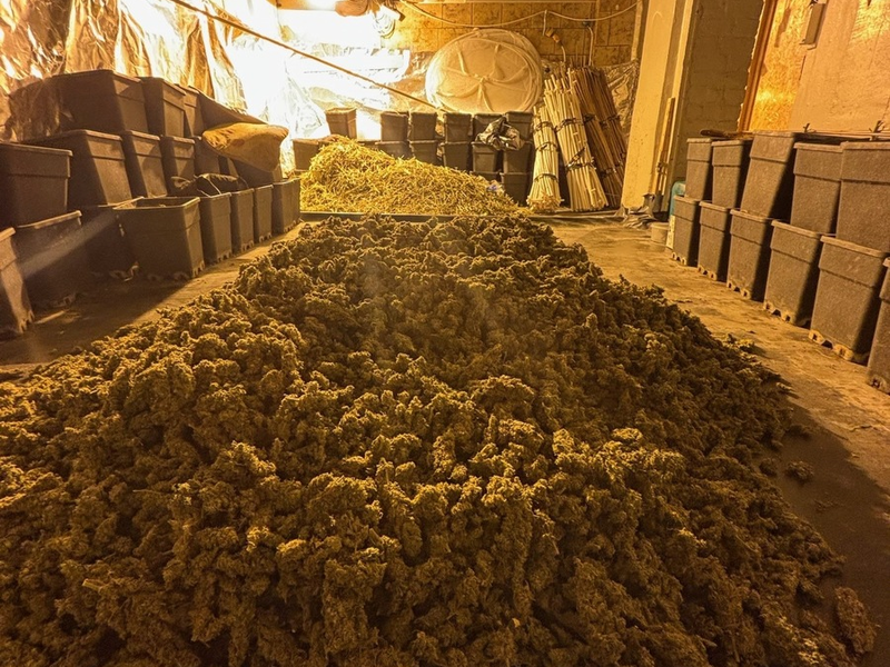POL-MG: Illegale Plantage in Rheydt ausgehoben - Drei Festnahmen - Foto: presseportal.de