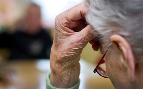Schätzungsweise 1,8 Millionen Deutsche sind an Demenz erkrankt. Ein neuer Lancet-Report sieht großes Präventionspotenzial, würden bestimmte Risikofaktoren minimiert. (Symbolbild) - Foto: Patrick Pleul/dpa-Zentralbild/dpa