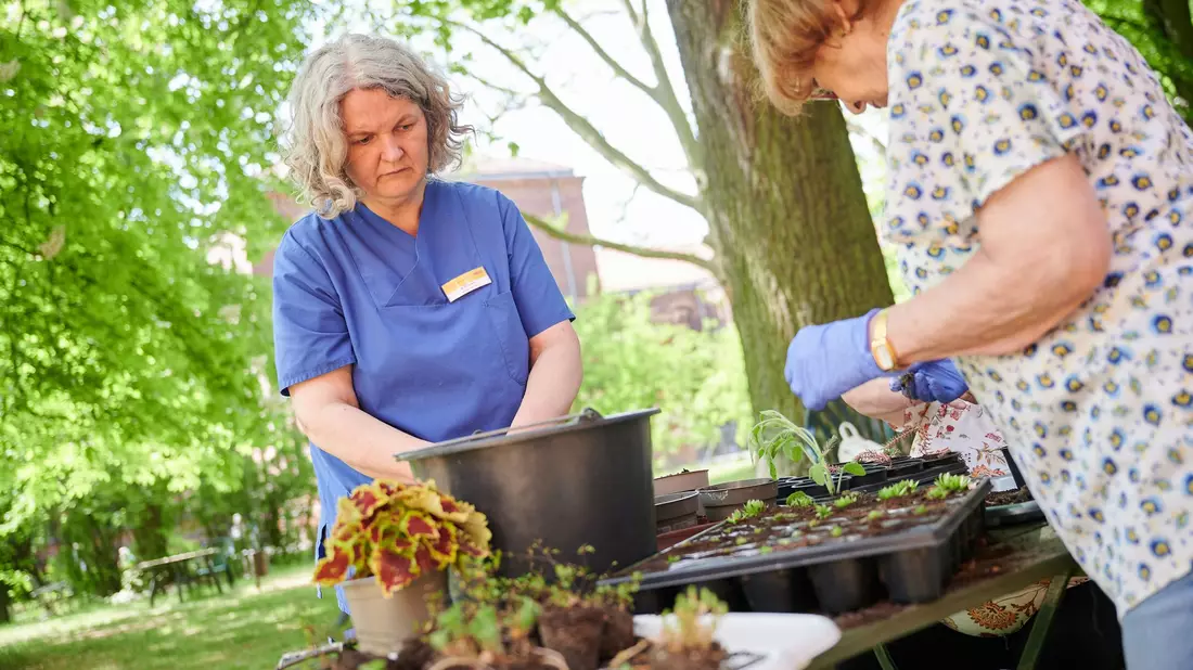 Auch Gartentherapie kann bei Demenz helfen. (Symbolbild) - Bild: Annette Riedl/dpa
