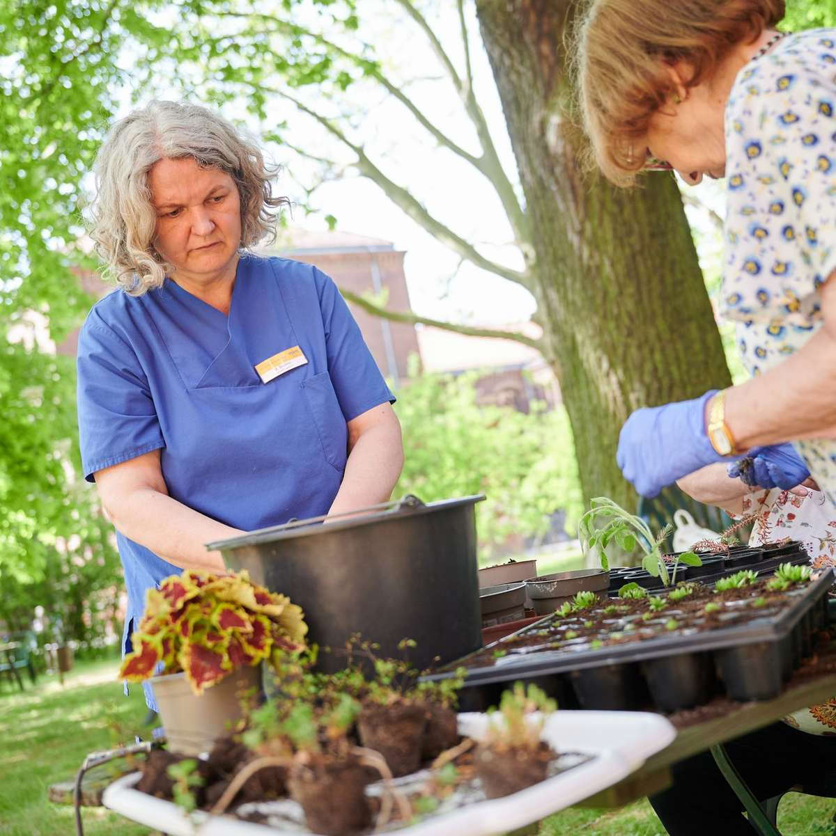 Auch Gartentherapie kann bei Demenz helfen. (Symbolbild) - Foto: Annette Riedl/dpa